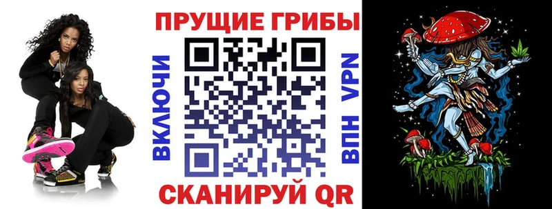 Галлюциногенные грибы мицелий  цены наркотик  Белая Холуница 